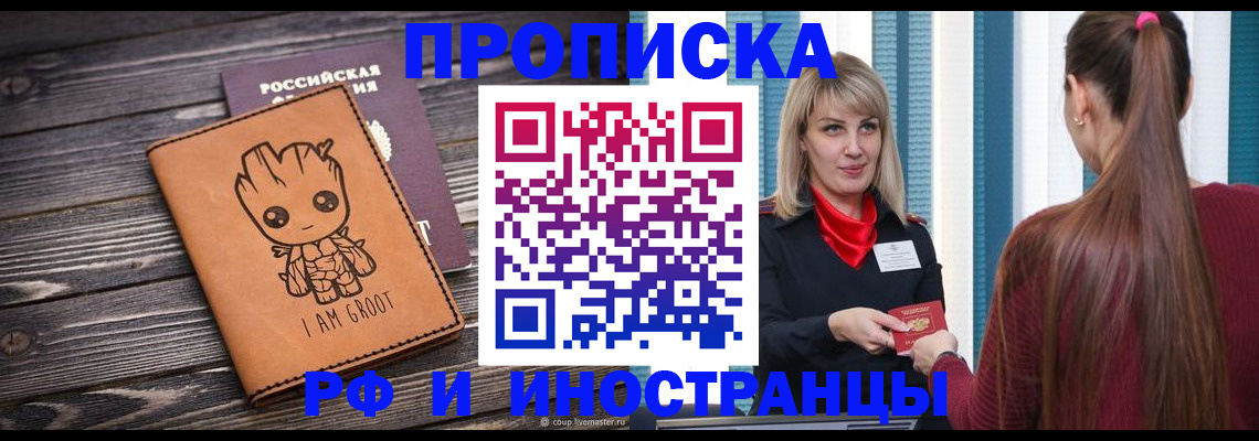 прописка законно в Сольцах